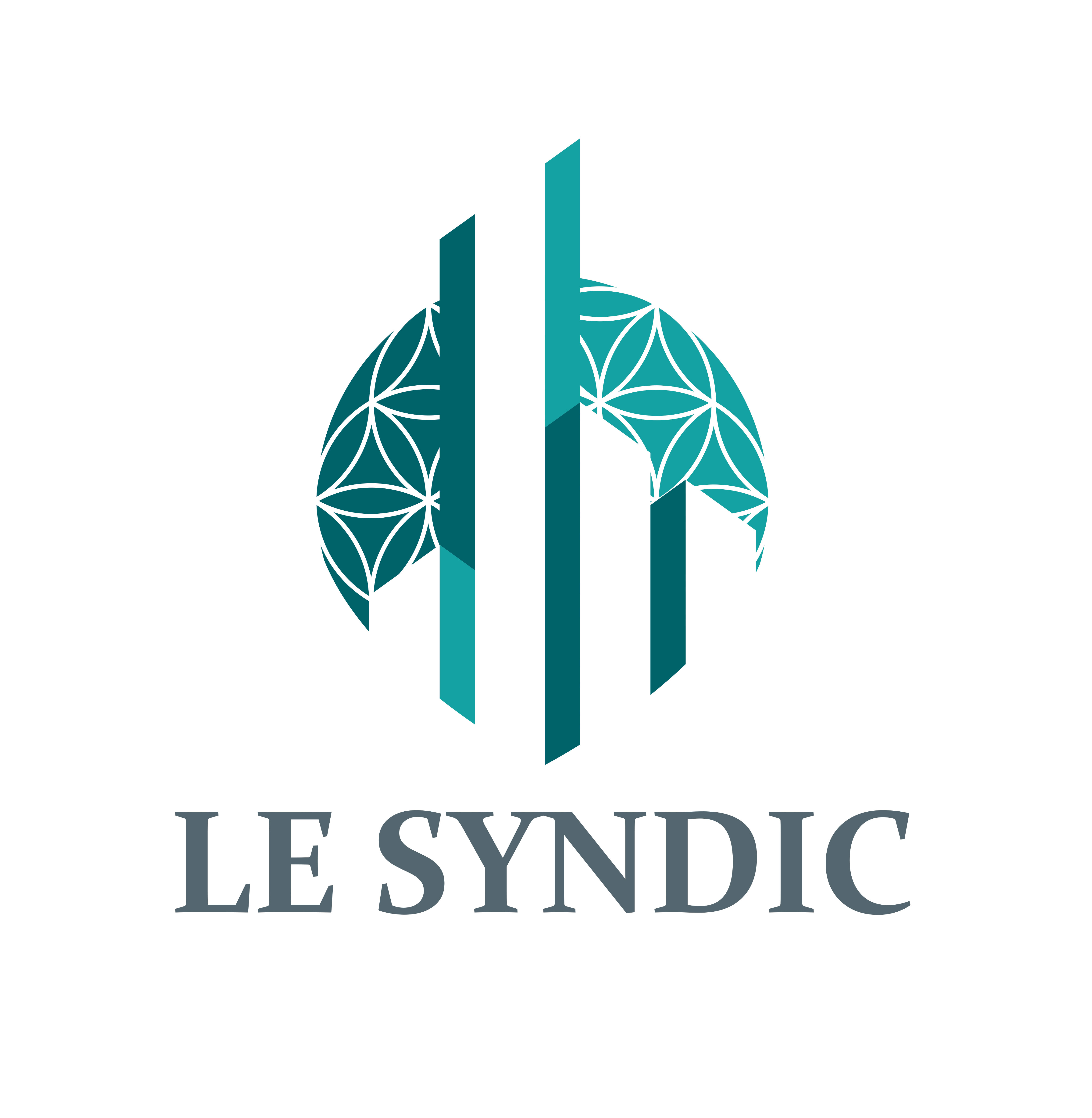 Logo LE SYNDIC